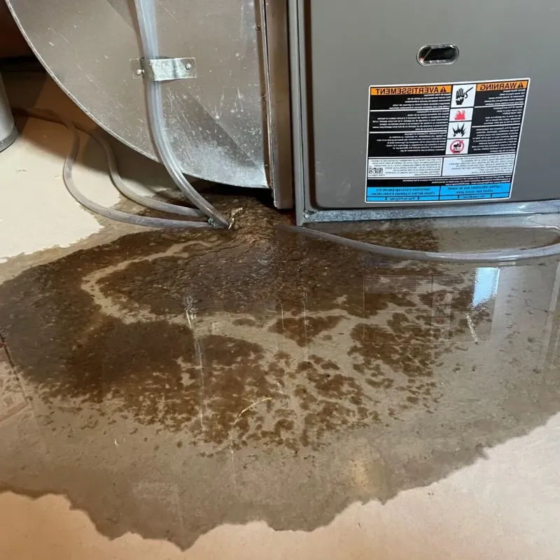 Pipe Burst and Leak Restoration in Clinton, MA