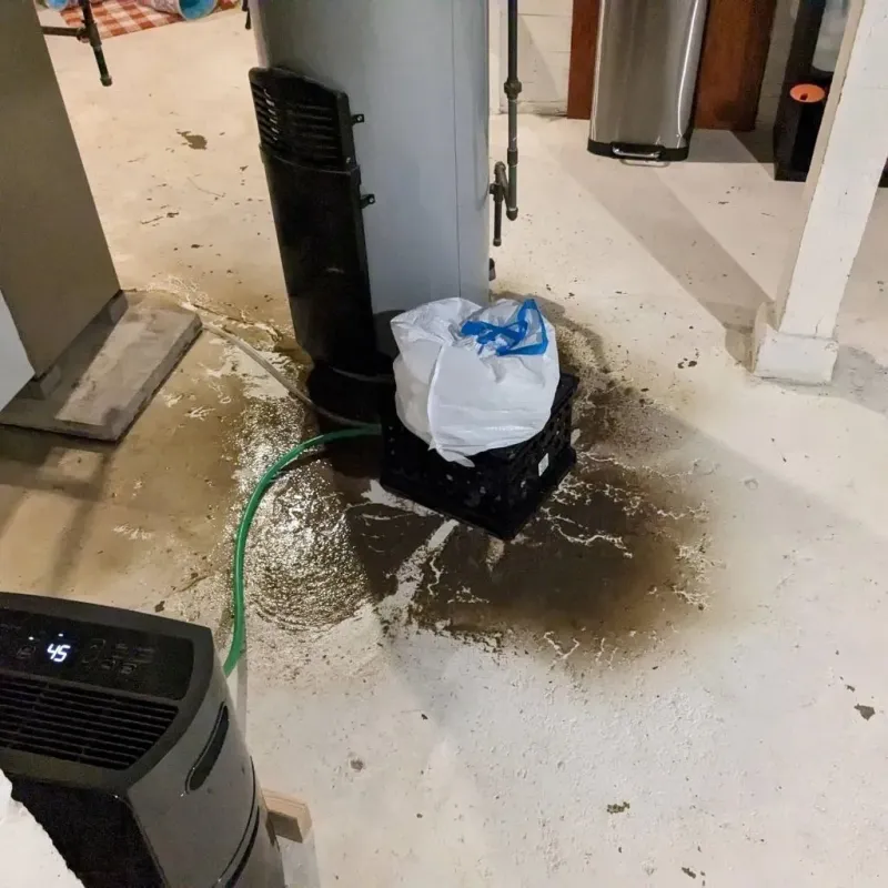 Sewage Backup Cleanup Service in Clinton, MA